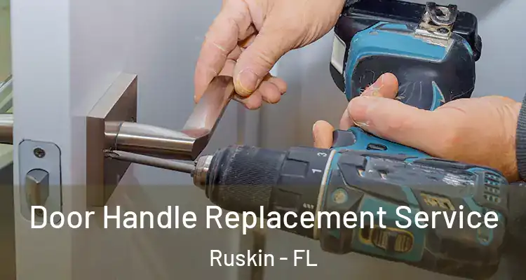 Door Handle Replacement Service Ruskin - FL