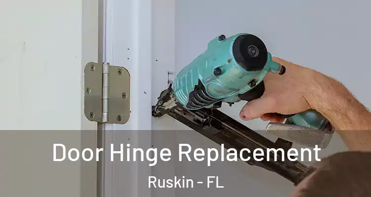 Door Hinge Replacement Ruskin - FL