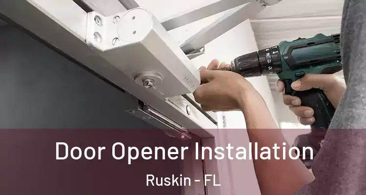 Door Opener Installation Ruskin - FL