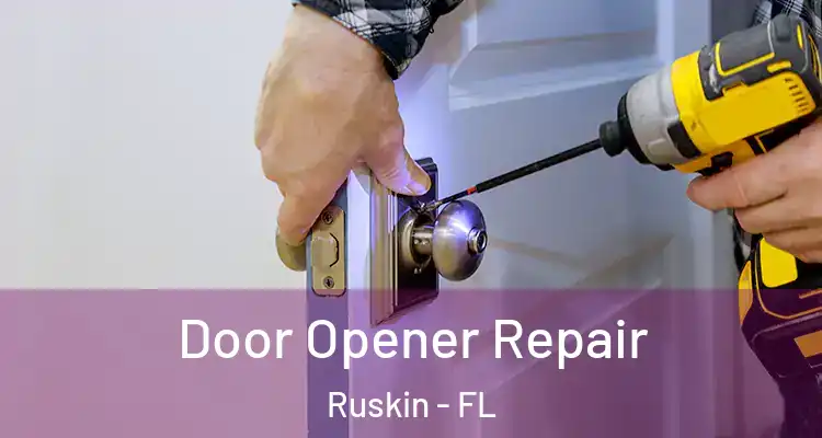 Door Opener Repair Ruskin - FL