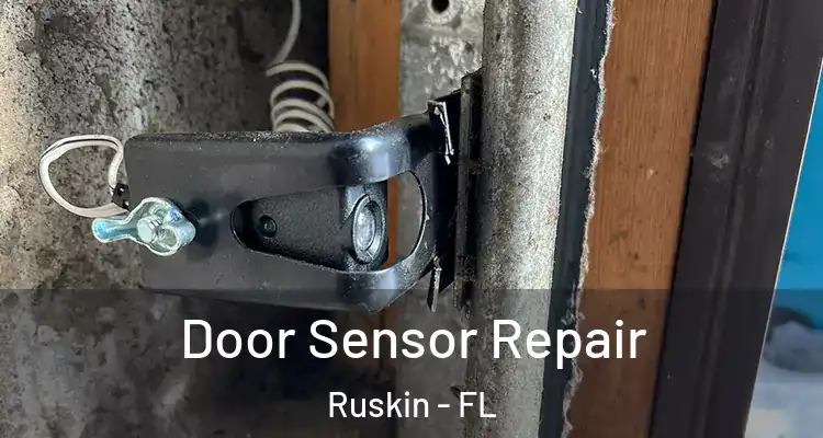 Door Sensor Repair Ruskin - FL