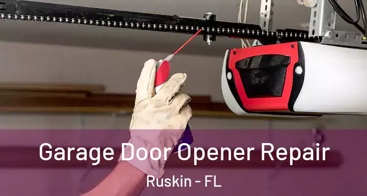 Garage Door Opener Repair Ruskin - FL