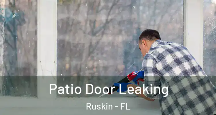 Patio Door Leaking Ruskin - FL