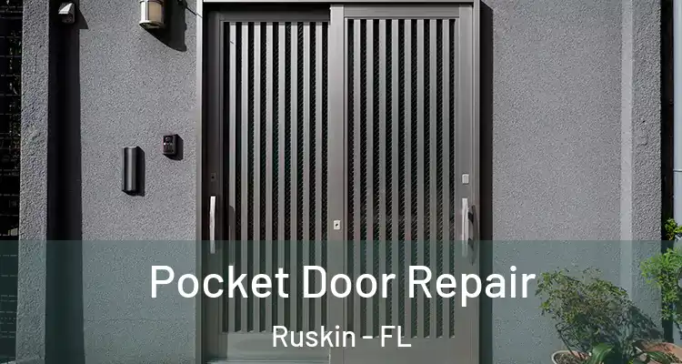 Pocket Door Repair Ruskin - FL