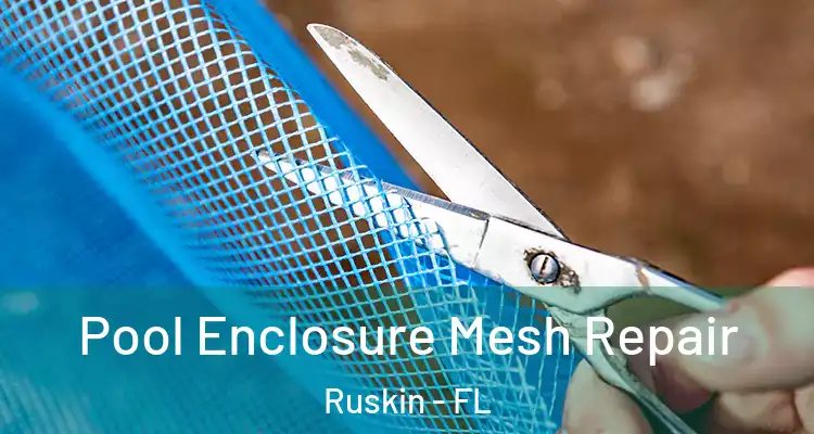 Pool Enclosure Mesh Repair Ruskin - FL