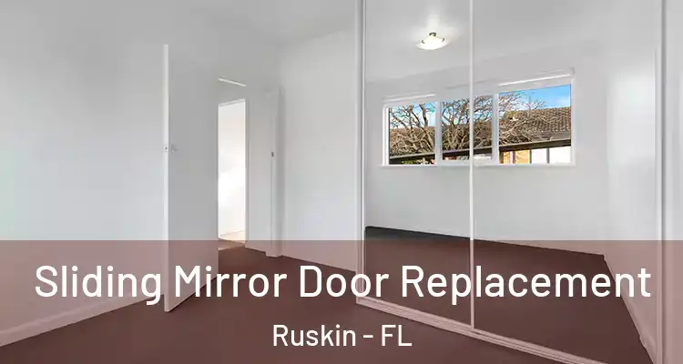 Sliding Mirror Door Replacement Ruskin - FL