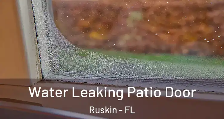 Water Leaking Patio Door Ruskin - FL